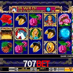 707Bet Rio de Janeiro - Bonus Terms